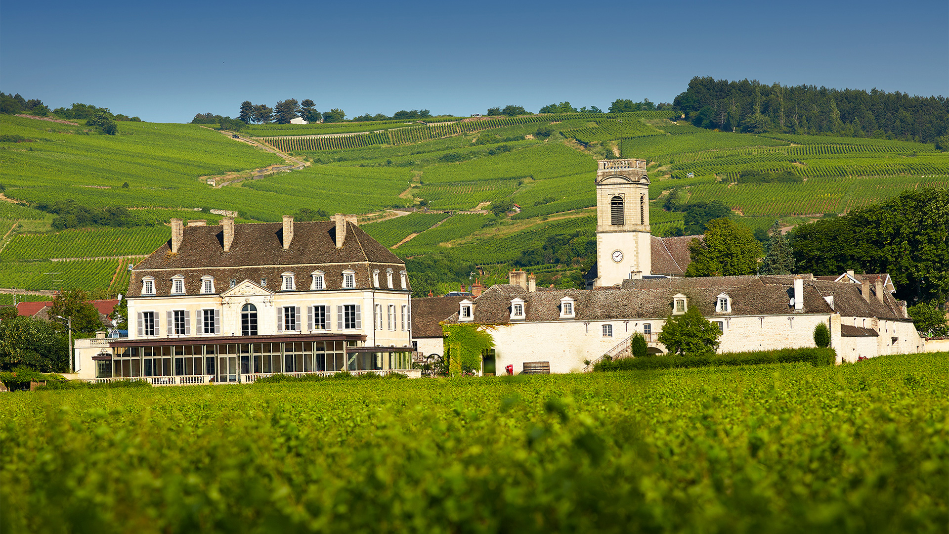 Burgundy - Château de Pommard - HighRes