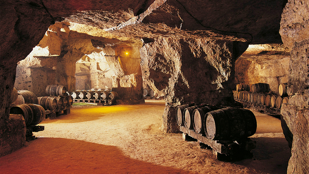 Loire Valley - Chinon Wine Cellar