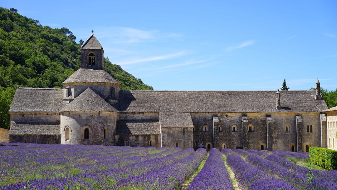 Provence - Senanque Abbey